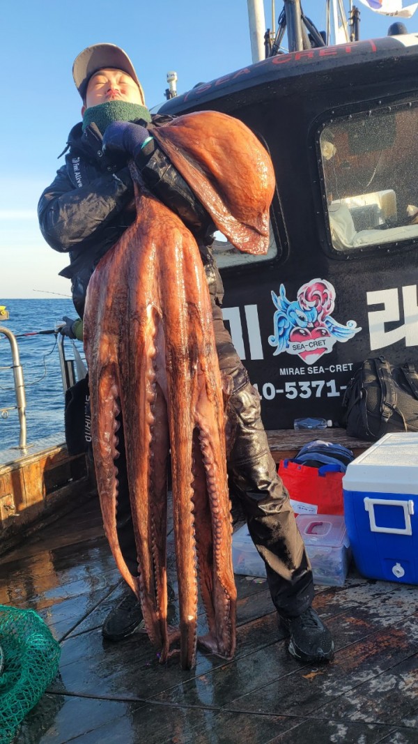 c662652df8660ae03e679a62d09f9220_1769760