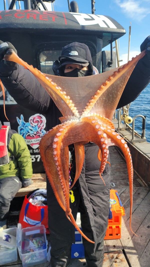 c662652df8660ae03e679a62d09f9220_1769760