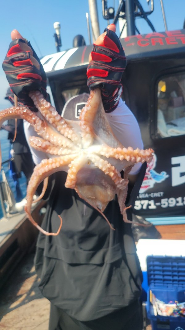 dd1babf6e0e28c0d4da7d2658d4c3b21_1767513