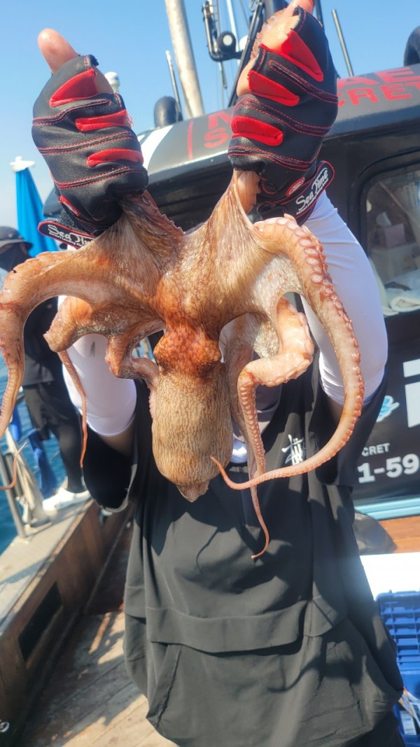 dd1babf6e0e28c0d4da7d2658d4c3b21_1767513