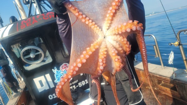 dd1babf6e0e28c0d4da7d2658d4c3b21_1767513