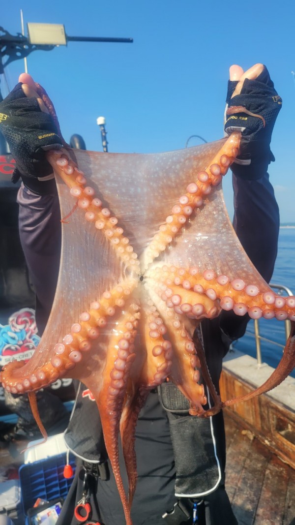 dd1babf6e0e28c0d4da7d2658d4c3b21_1767513