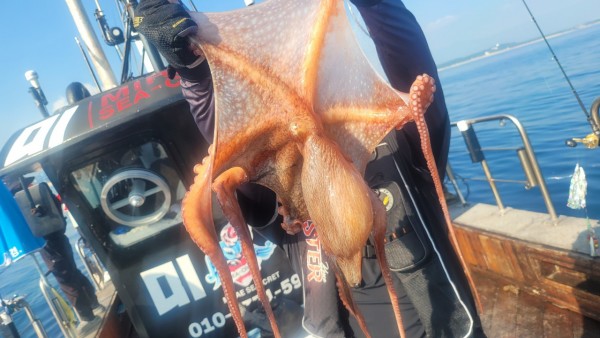 dd1babf6e0e28c0d4da7d2658d4c3b21_1767513