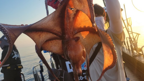 dd1babf6e0e28c0d4da7d2658d4c3b21_1767513