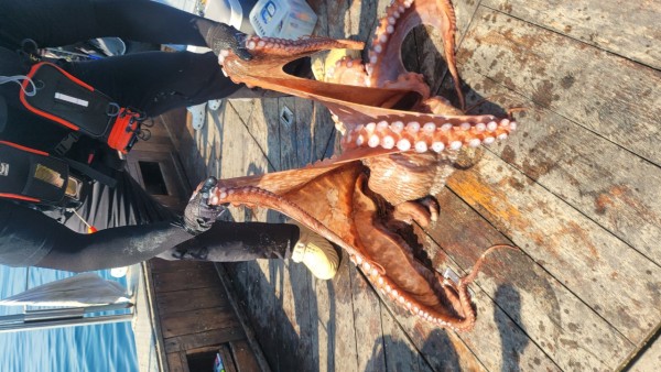 dd1babf6e0e28c0d4da7d2658d4c3b21_1767513