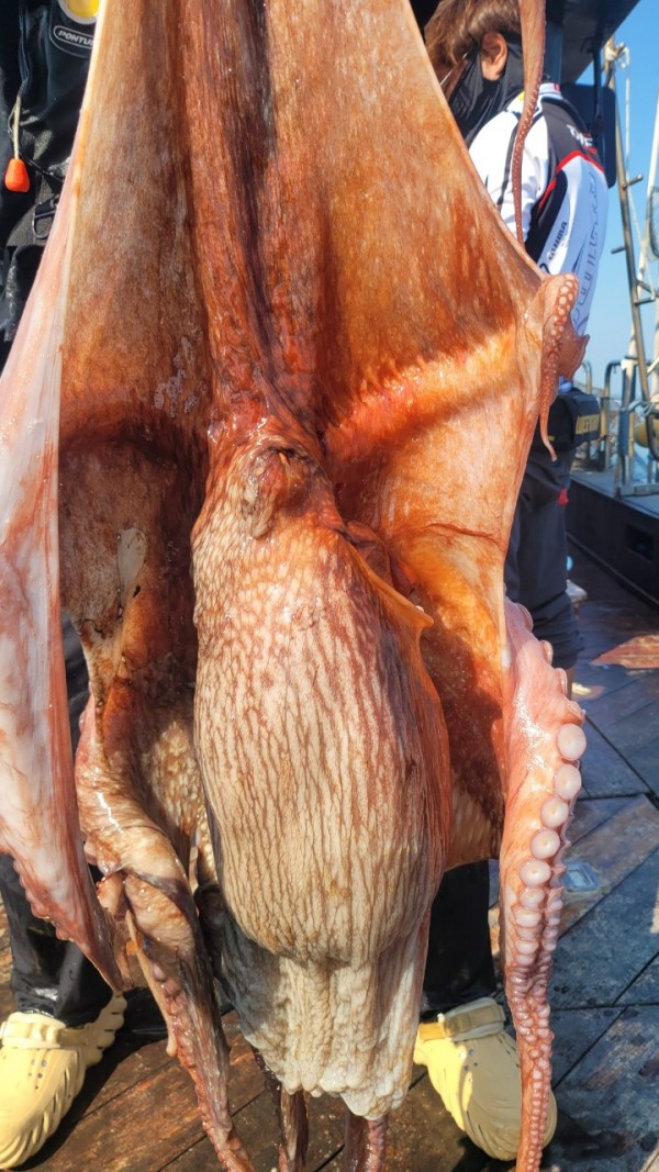 dd1babf6e0e28c0d4da7d2658d4c3b21_1767513