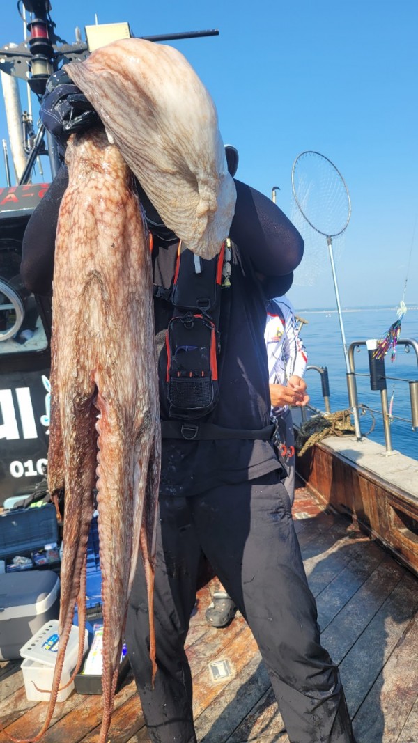 dd1babf6e0e28c0d4da7d2658d4c3b21_1767513