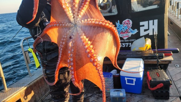 ea3043e39f8ab680ff79dcbd20097f19_1767931