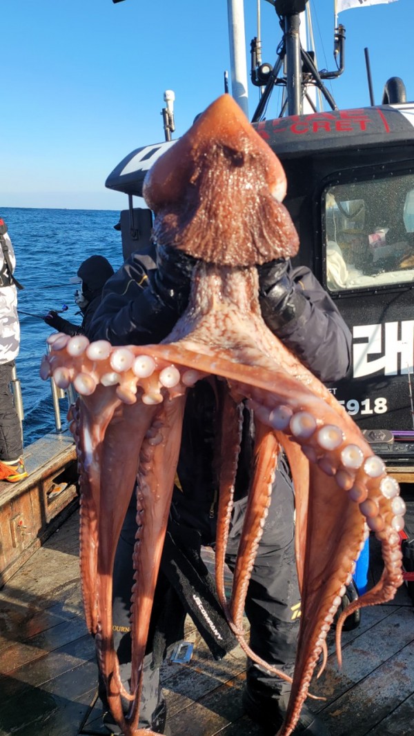 ea3043e39f8ab680ff79dcbd20097f19_1767931