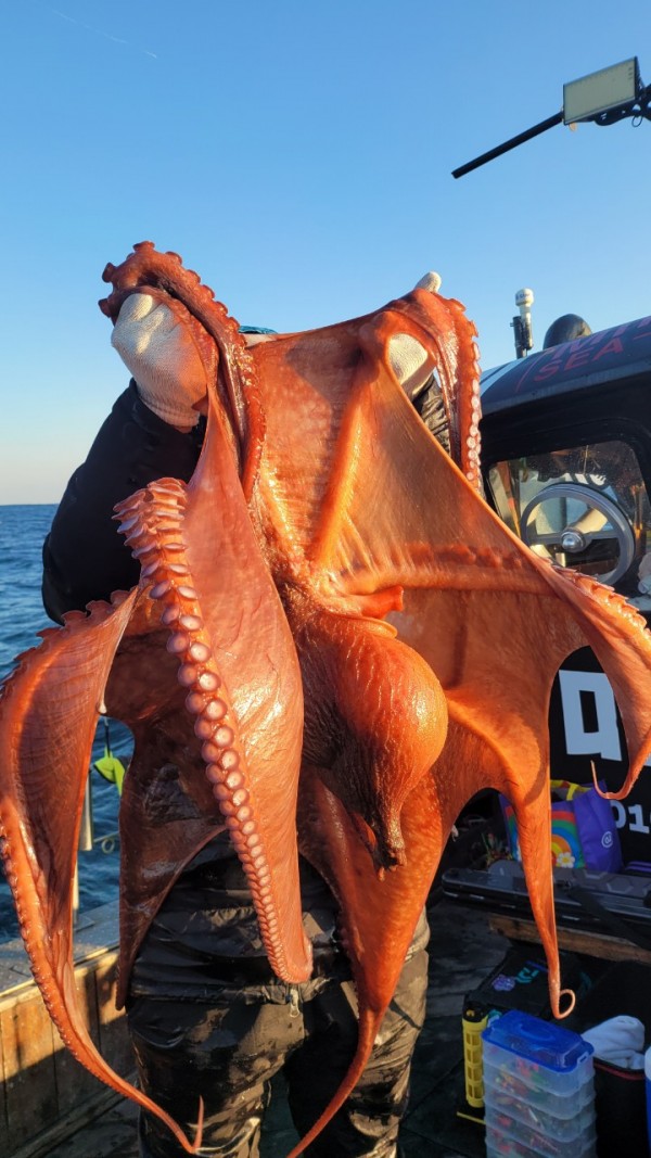 ea3043e39f8ab680ff79dcbd20097f19_1767931