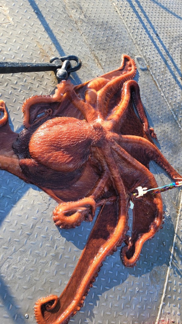 ea3043e39f8ab680ff79dcbd20097f19_1767931