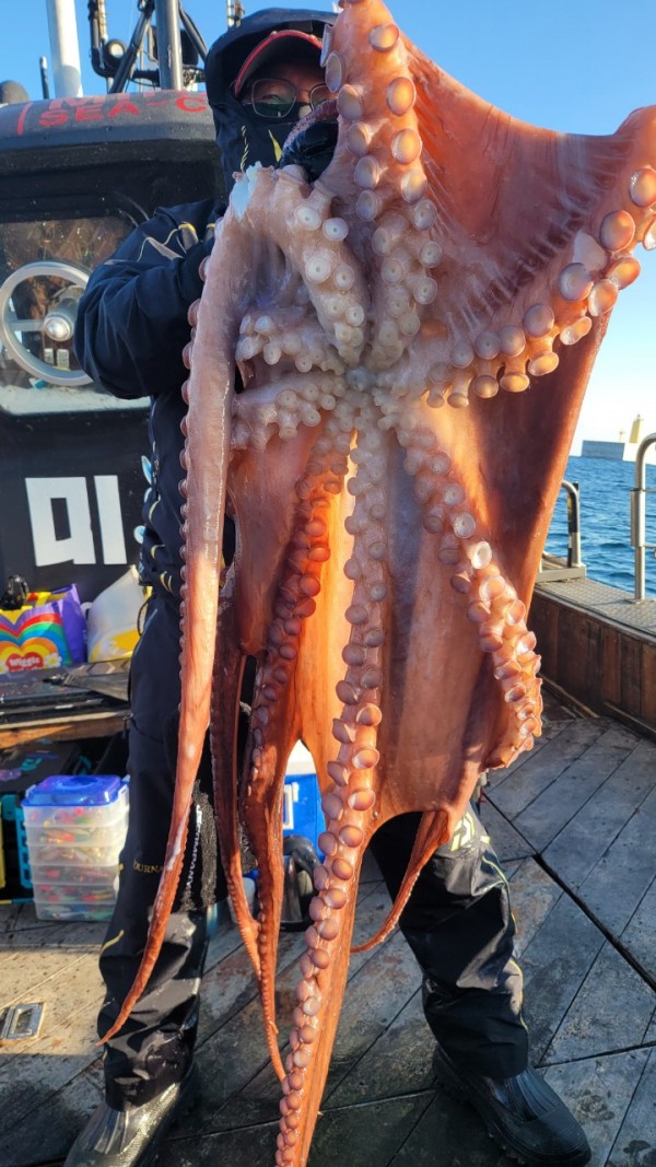 ea3043e39f8ab680ff79dcbd20097f19_1767931