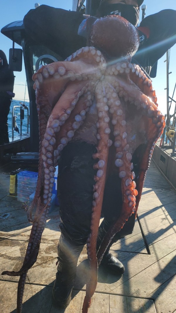 ea3043e39f8ab680ff79dcbd20097f19_1767931