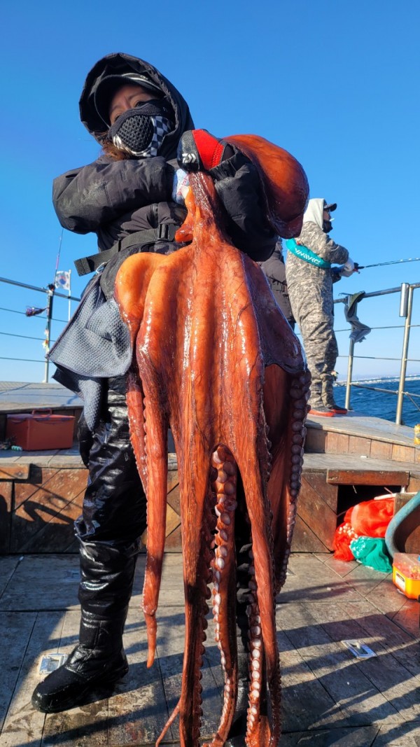 ea3043e39f8ab680ff79dcbd20097f19_1767931