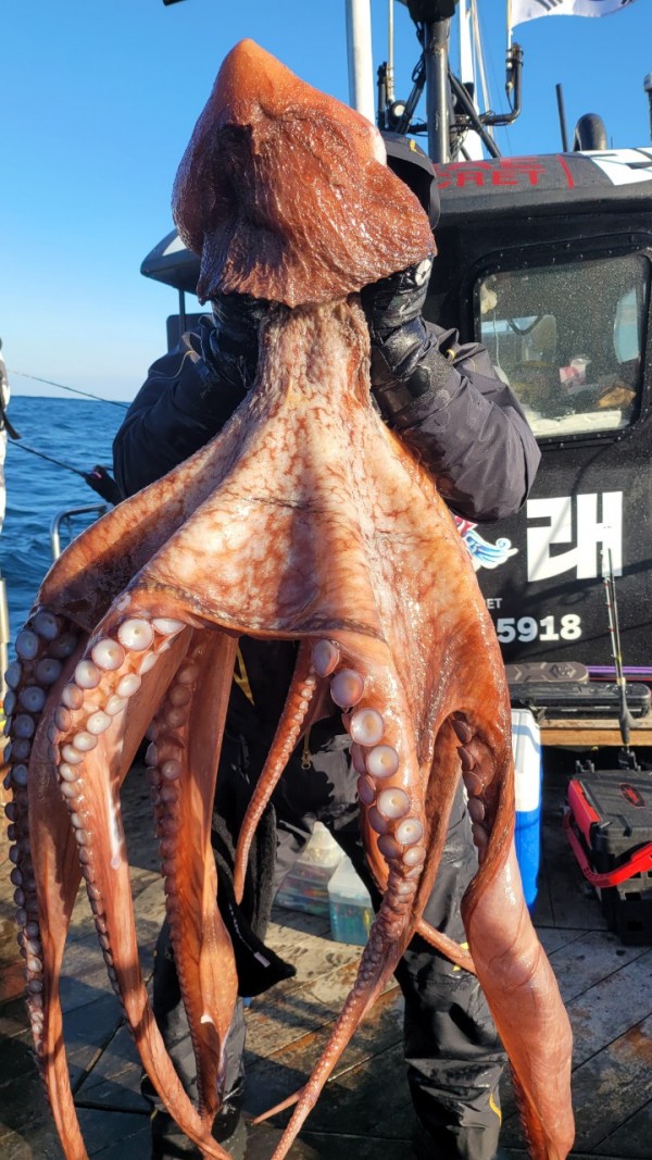 ea3043e39f8ab680ff79dcbd20097f19_1767931