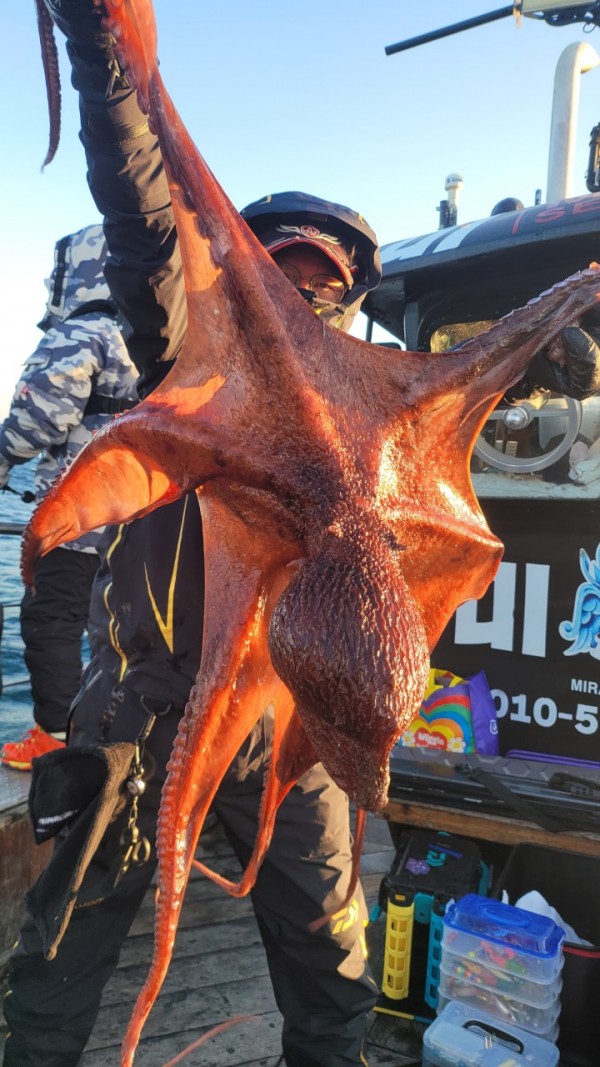 ea3043e39f8ab680ff79dcbd20097f19_1767931