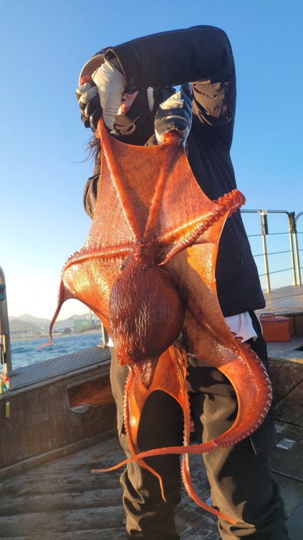 ea3043e39f8ab680ff79dcbd20097f19_1767931