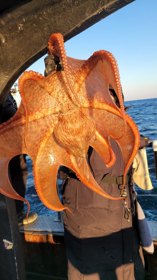 ea3043e39f8ab680ff79dcbd20097f19_1767931