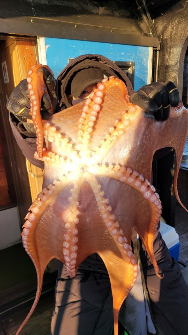 ea3043e39f8ab680ff79dcbd20097f19_1767931