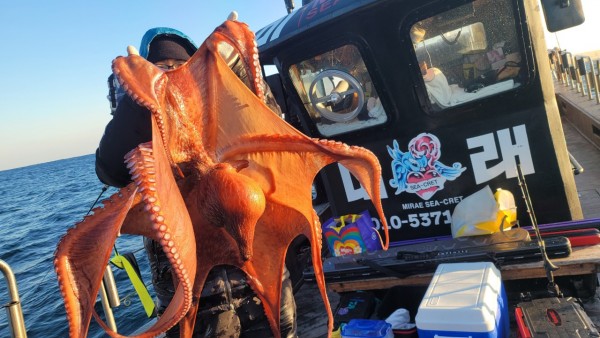 ea3043e39f8ab680ff79dcbd20097f19_1767931