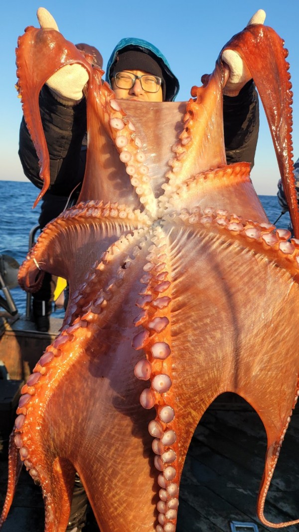 ea3043e39f8ab680ff79dcbd20097f19_1767931