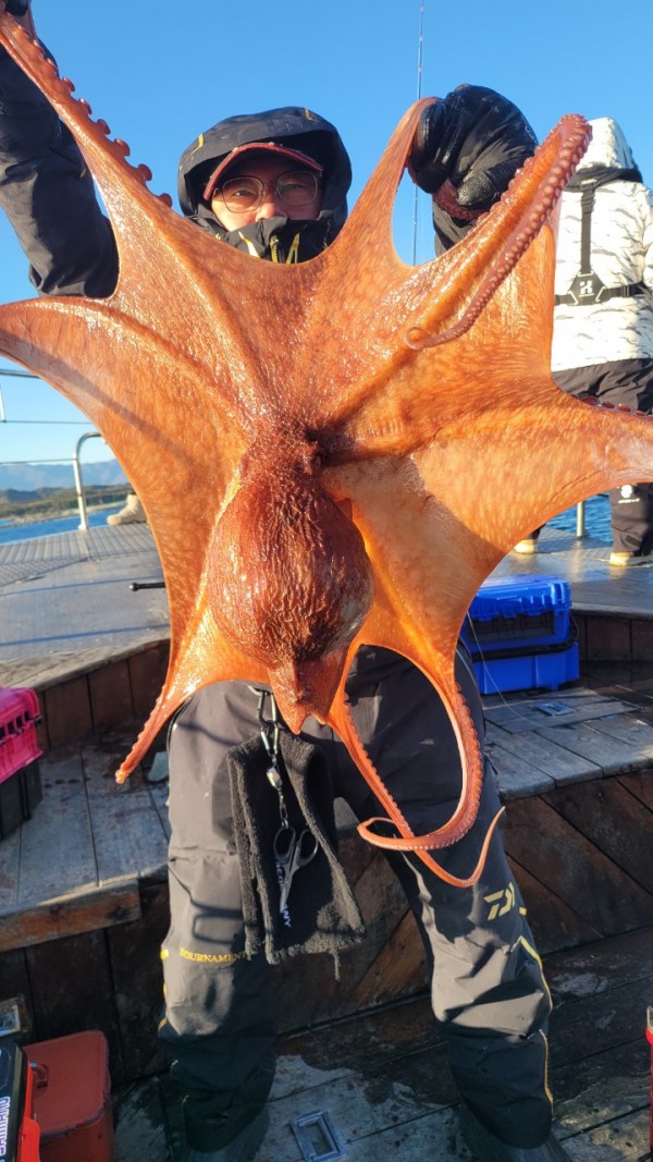 ea3043e39f8ab680ff79dcbd20097f19_1767931