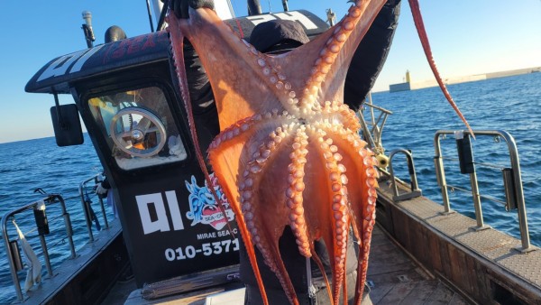 ea3043e39f8ab680ff79dcbd20097f19_1767931