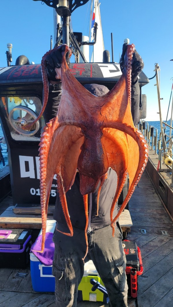 ea3043e39f8ab680ff79dcbd20097f19_1767931