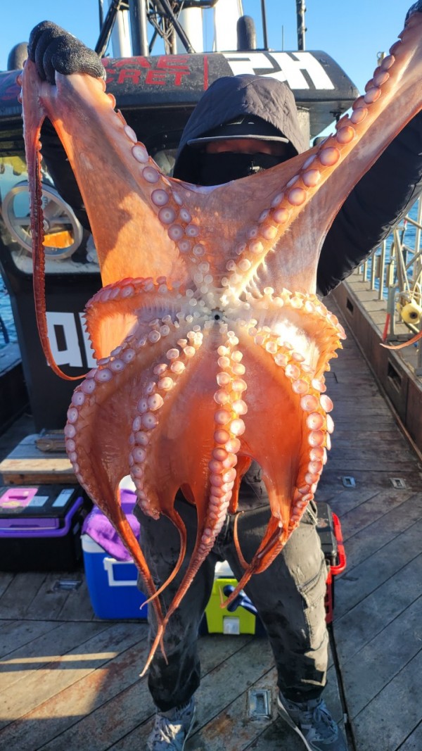 ea3043e39f8ab680ff79dcbd20097f19_1767931