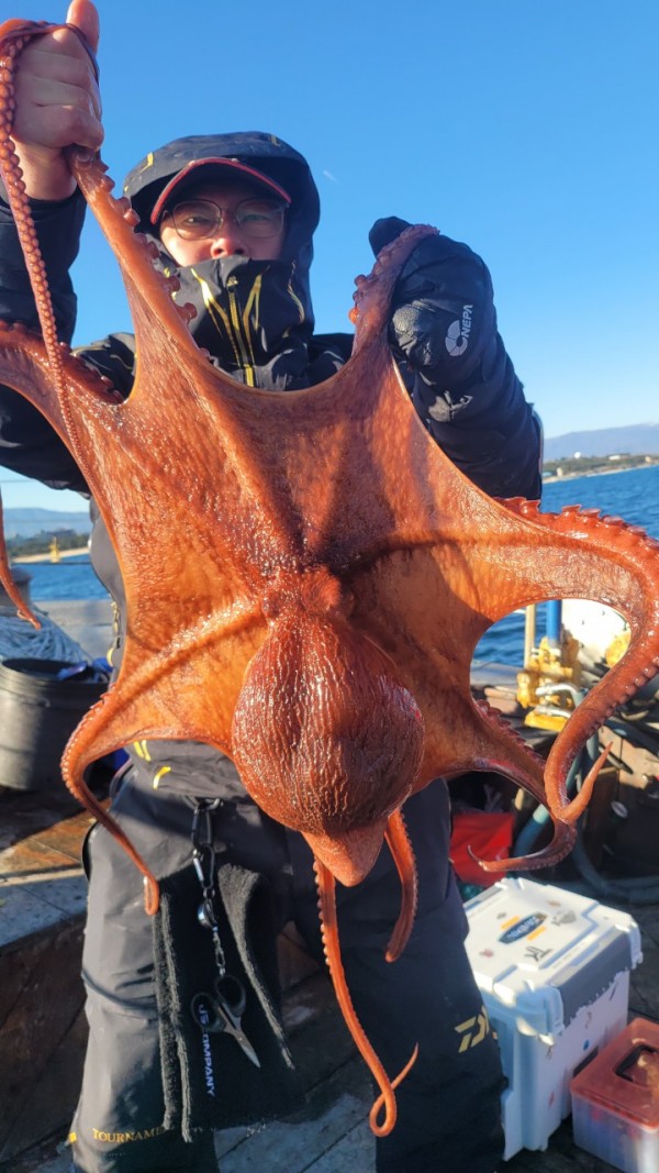 ea3043e39f8ab680ff79dcbd20097f19_1767931