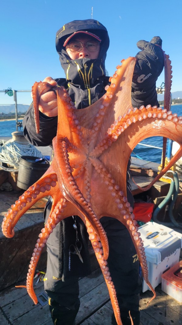 ea3043e39f8ab680ff79dcbd20097f19_1767931