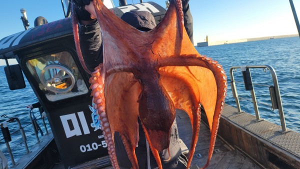 ea3043e39f8ab680ff79dcbd20097f19_1767931