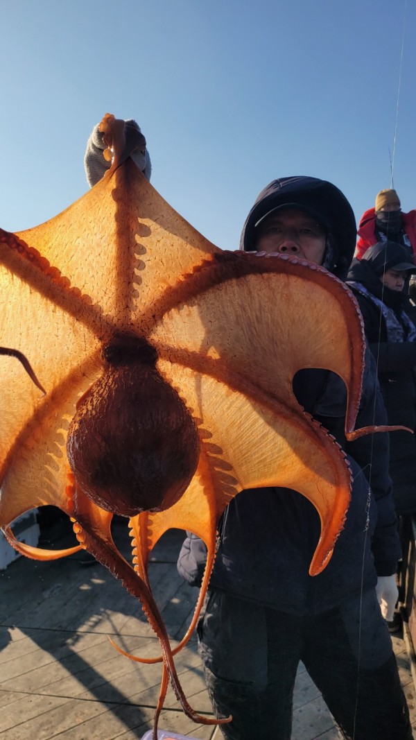 ea3043e39f8ab680ff79dcbd20097f19_1767932