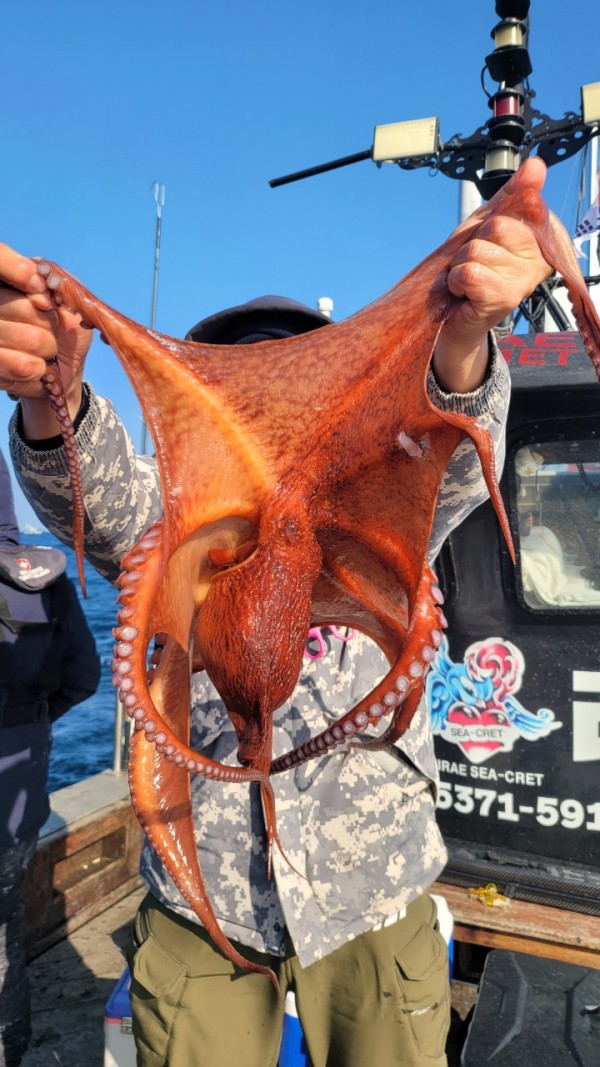 ea3043e39f8ab680ff79dcbd20097f19_1767932