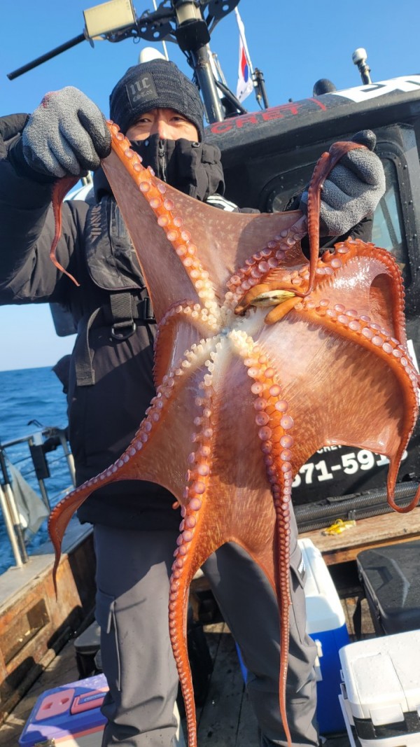 ea3043e39f8ab680ff79dcbd20097f19_1767932