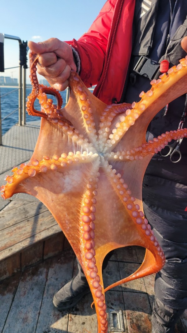 ea3043e39f8ab680ff79dcbd20097f19_1767932