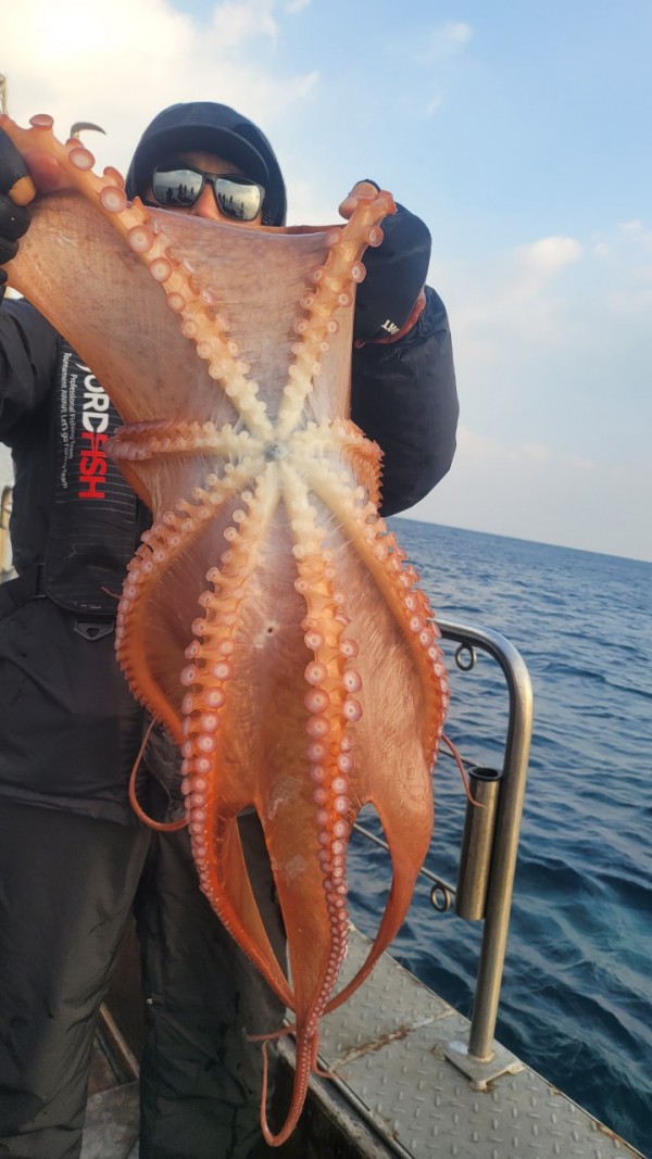 ea3043e39f8ab680ff79dcbd20097f19_1767932