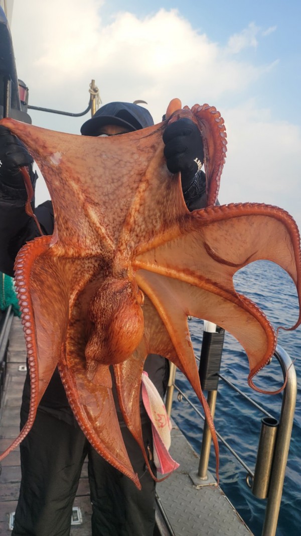 ea3043e39f8ab680ff79dcbd20097f19_1767932