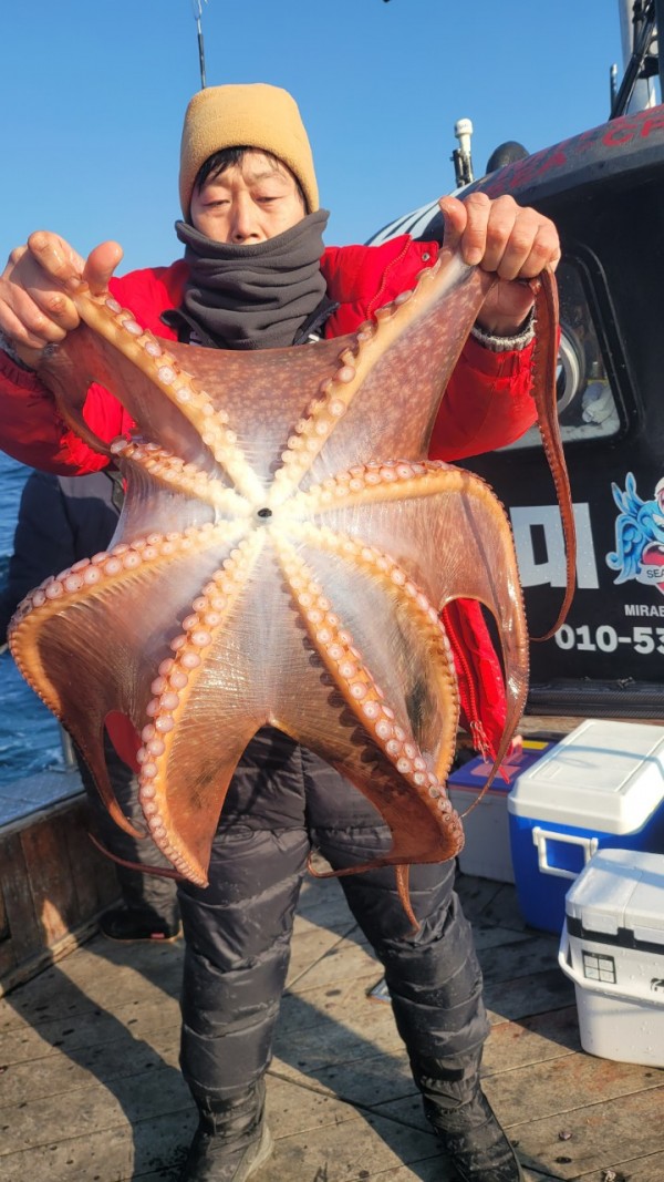 ea3043e39f8ab680ff79dcbd20097f19_1767932