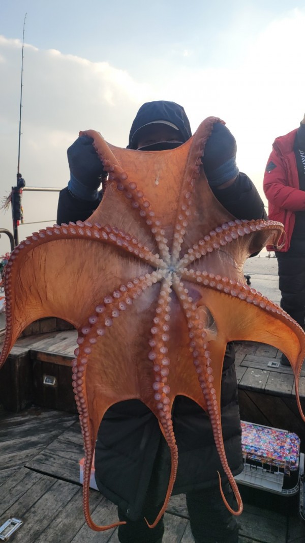 ea3043e39f8ab680ff79dcbd20097f19_1767932