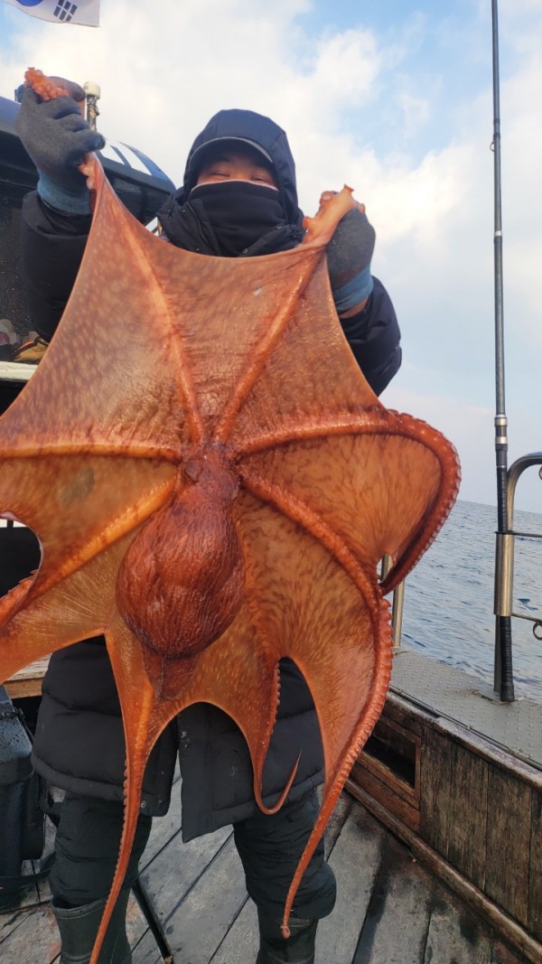 ea3043e39f8ab680ff79dcbd20097f19_1767932