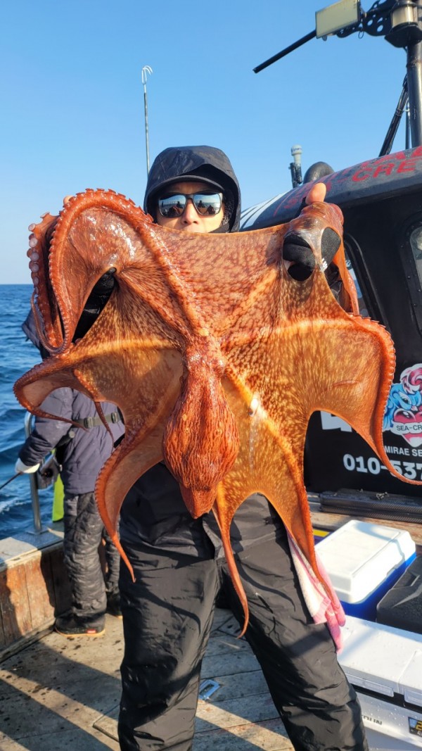 ea3043e39f8ab680ff79dcbd20097f19_1767932