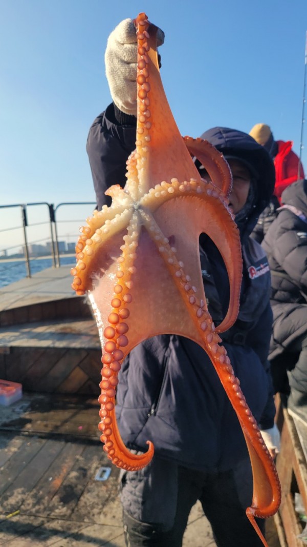 ea3043e39f8ab680ff79dcbd20097f19_1767932