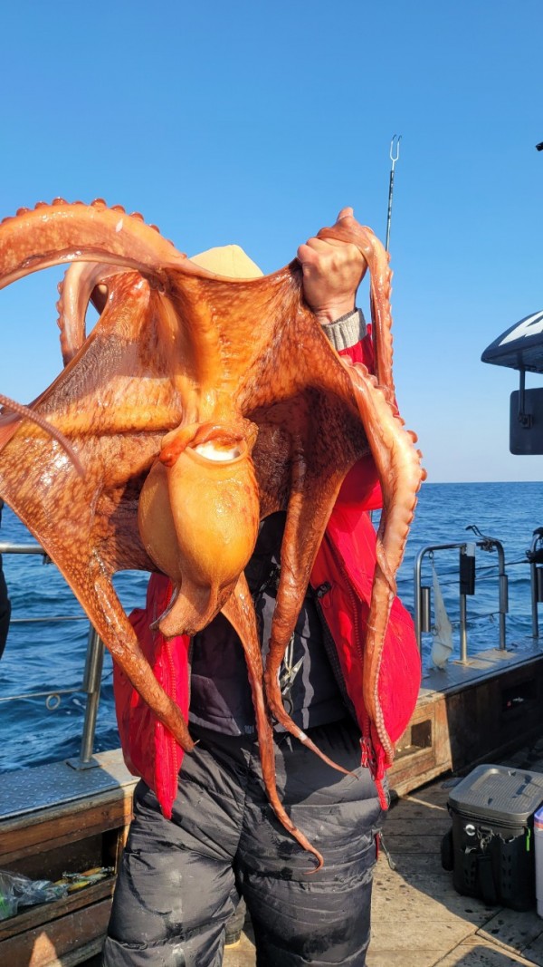 ea3043e39f8ab680ff79dcbd20097f19_1767932