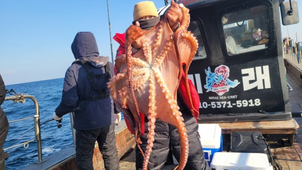 ea3043e39f8ab680ff79dcbd20097f19_1767932