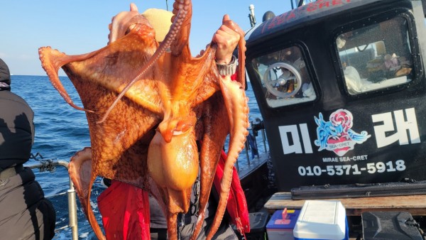 ea3043e39f8ab680ff79dcbd20097f19_1767932