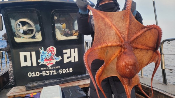 ea3043e39f8ab680ff79dcbd20097f19_1767932