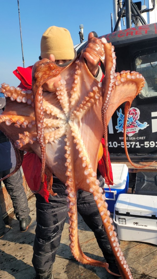 ea3043e39f8ab680ff79dcbd20097f19_1767932