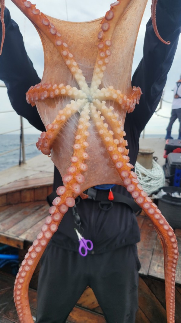 eb7509985e6b9e0b61d9f135be9691eb_1767510