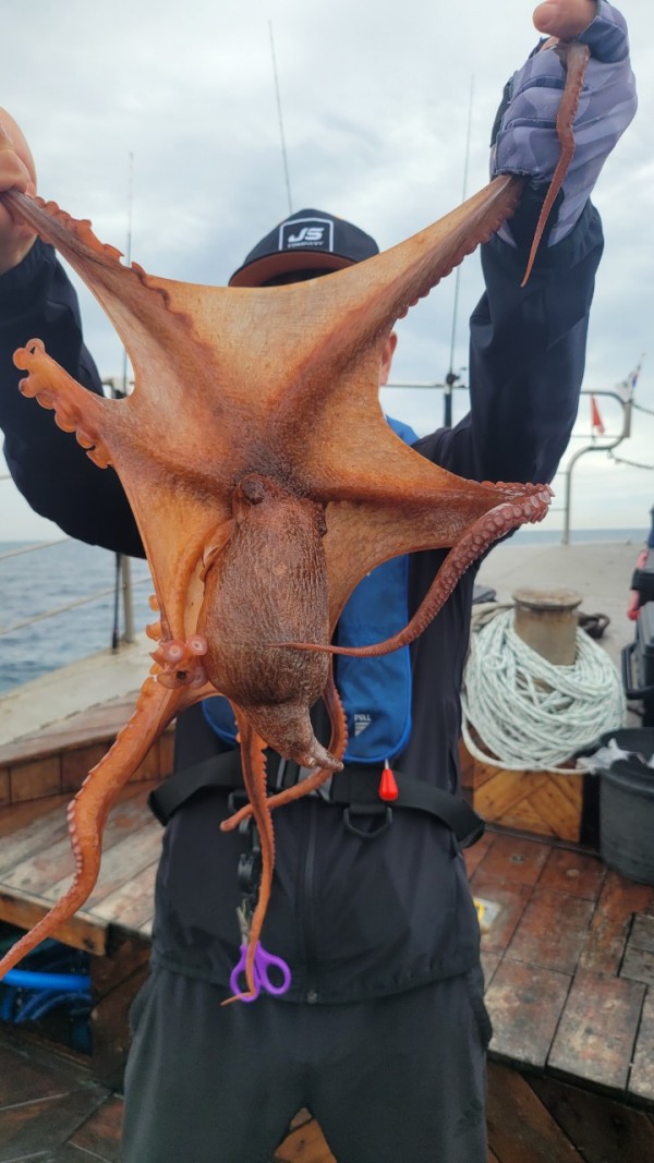 eb7509985e6b9e0b61d9f135be9691eb_1767510